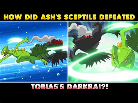 ash's sceptile|sceptile vs darkrai.